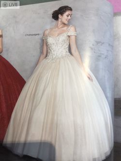Quinceañera/ Sweet 16 Dress - Size 14