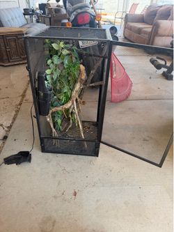 Chameleon reptile open air enclosure