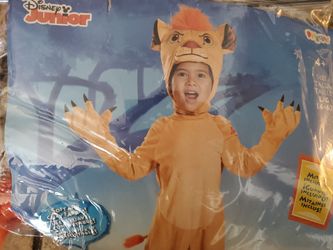 The lion king costume simba
