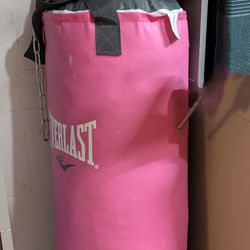 Woman's Punching/Workout Bag