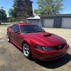 2001 Ford Mustang