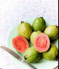 Pink Guava Trees