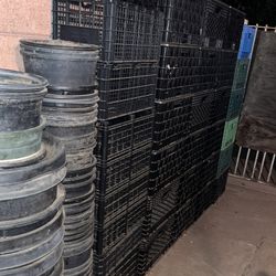 So Many Different Milk Crates