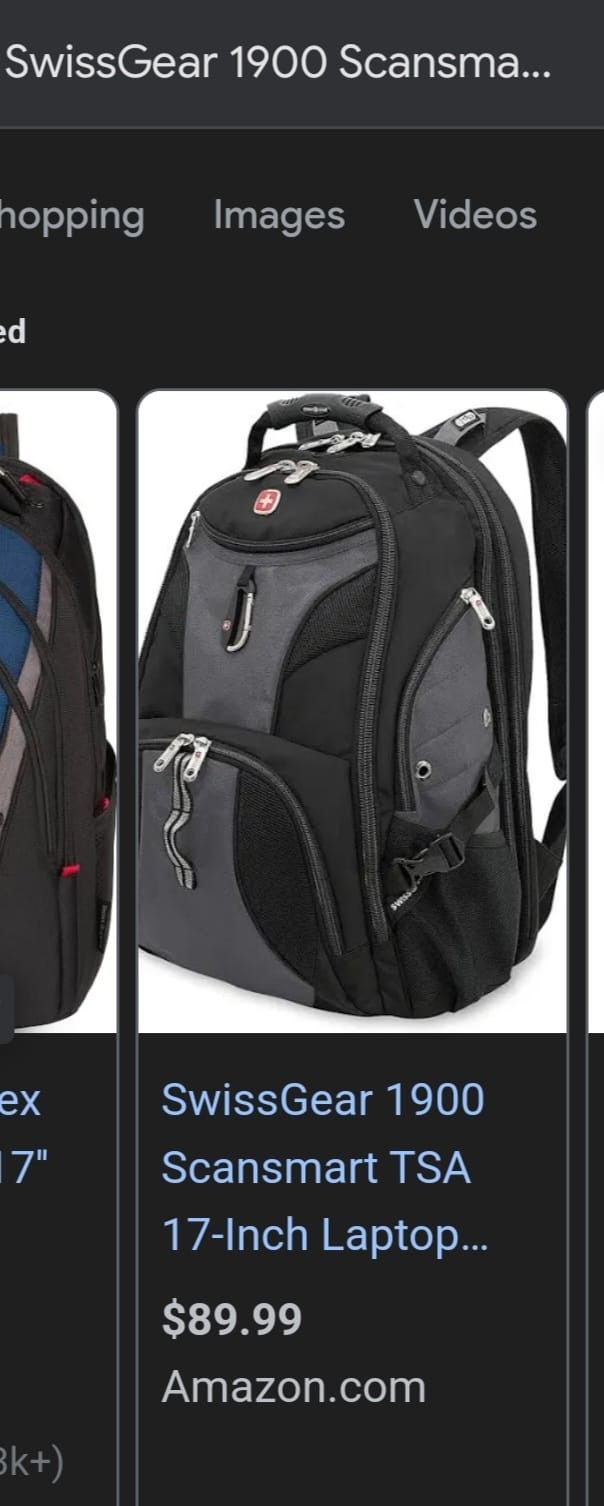 SwissGear 1900 Scansmart TSA 17 Inch Laptop Backpack, Gray/Black