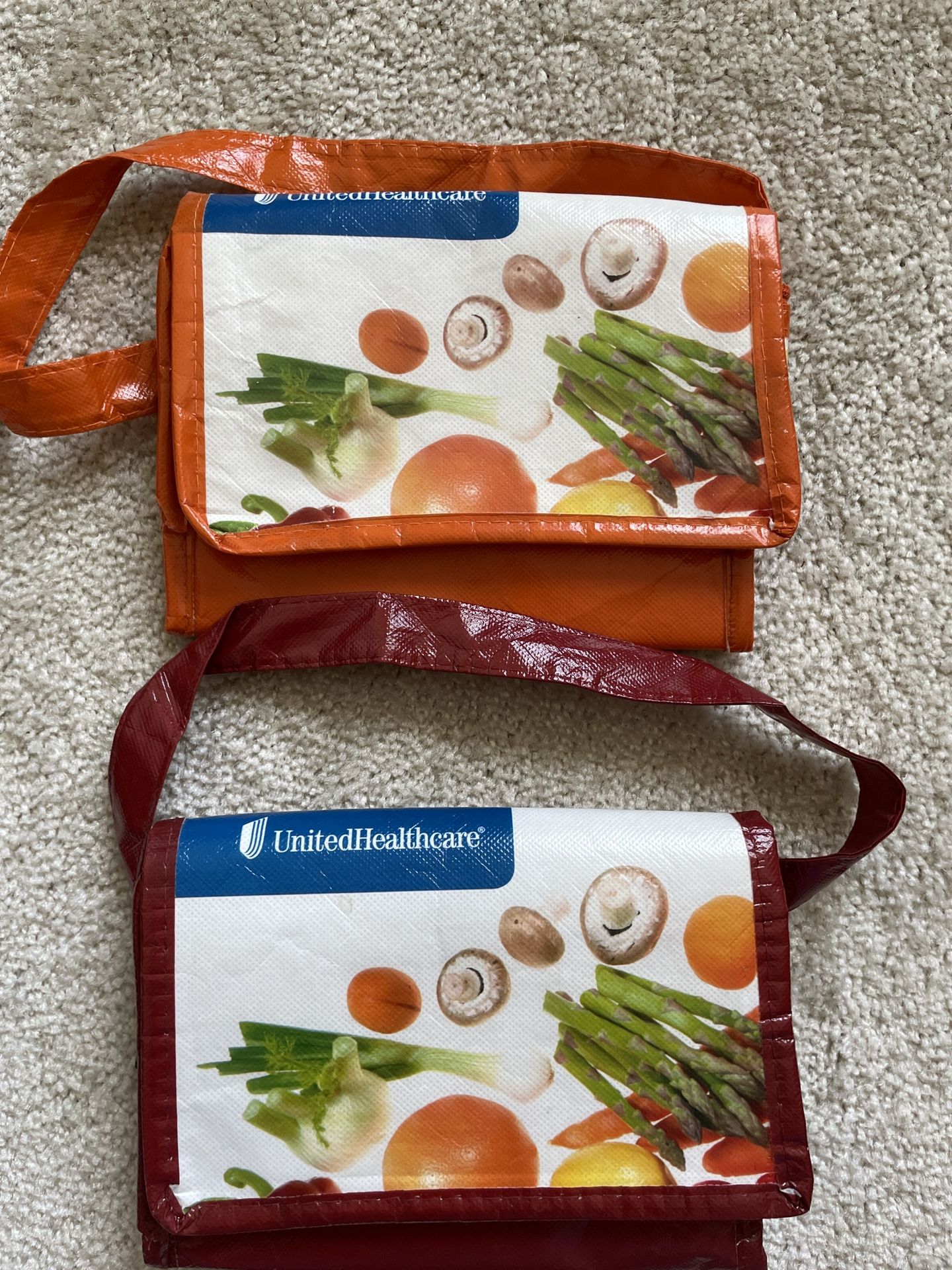 2 Insulated Lunch Bags - Hot/ Cold - Rectangular - 8” L X 6” W X 5” H - Zipper Closure