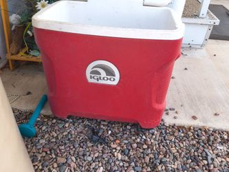 Igloo Red Cooler