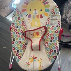 Baby Bouncer 