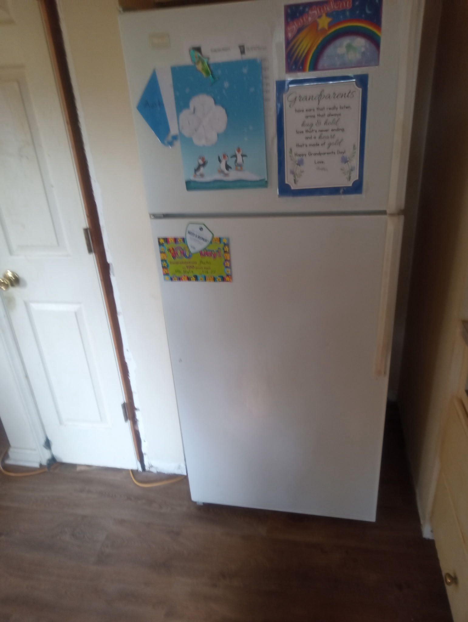 Fridge