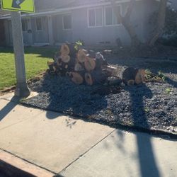 Wood
