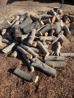 Oak wood