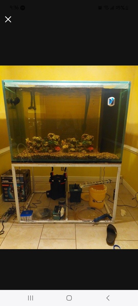 325 Gallon Tank & stand