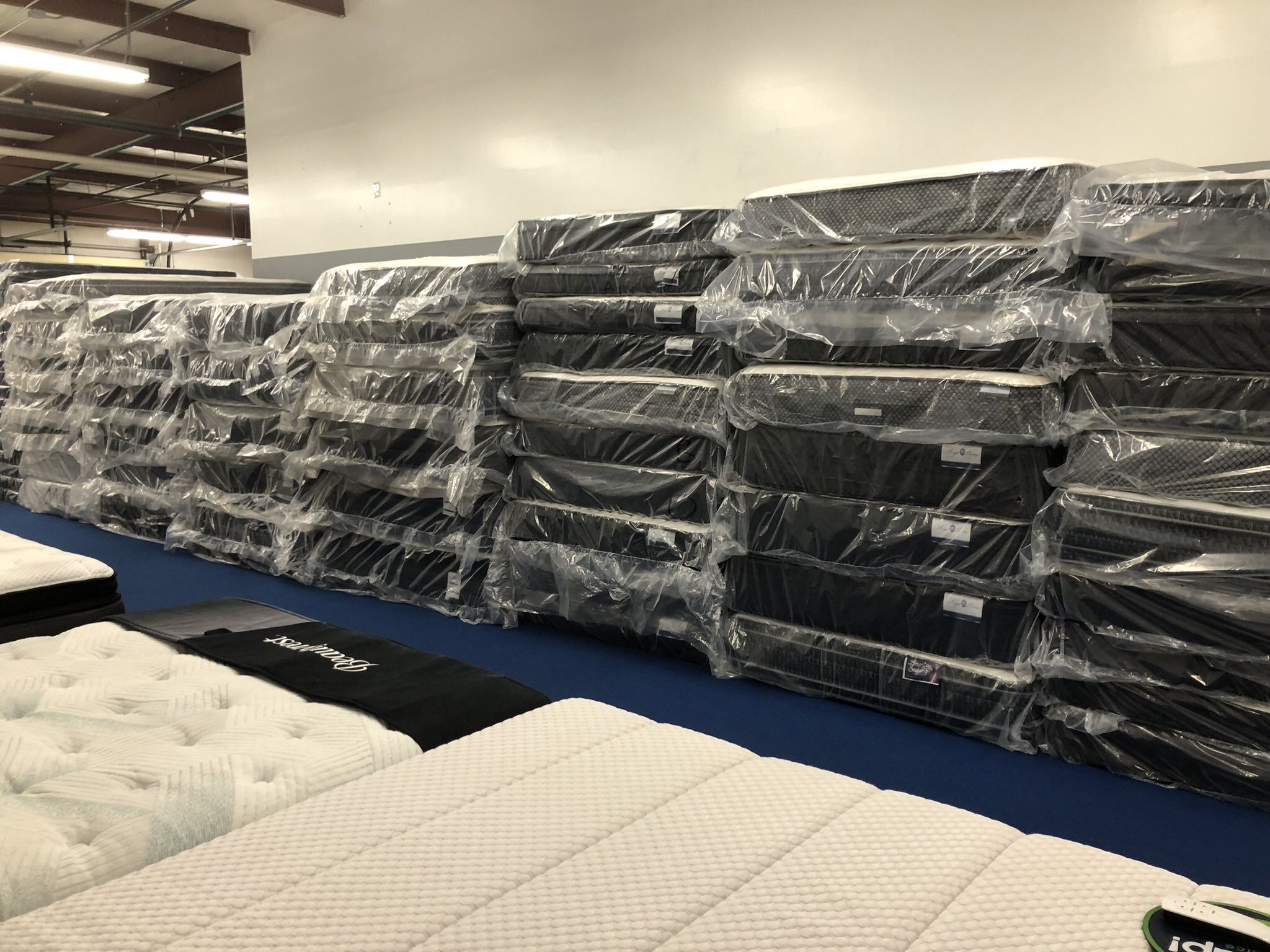 Getting Rid of These Mattresses!