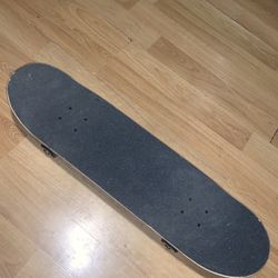Santa Cruz Skateboard