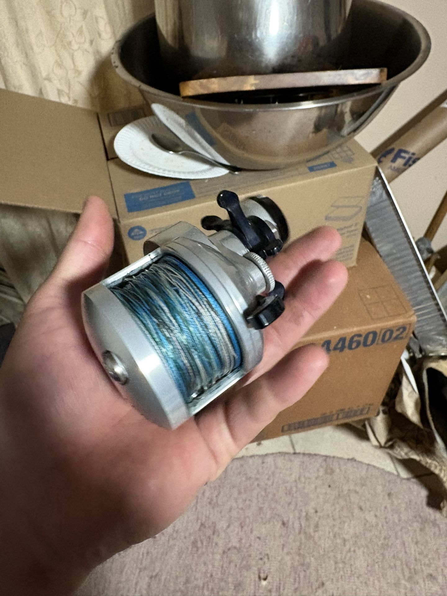 Accurate Tern 300 Reel