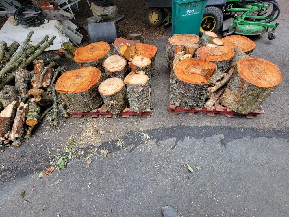 Free Clean Cord Firewood / Campfire Wood