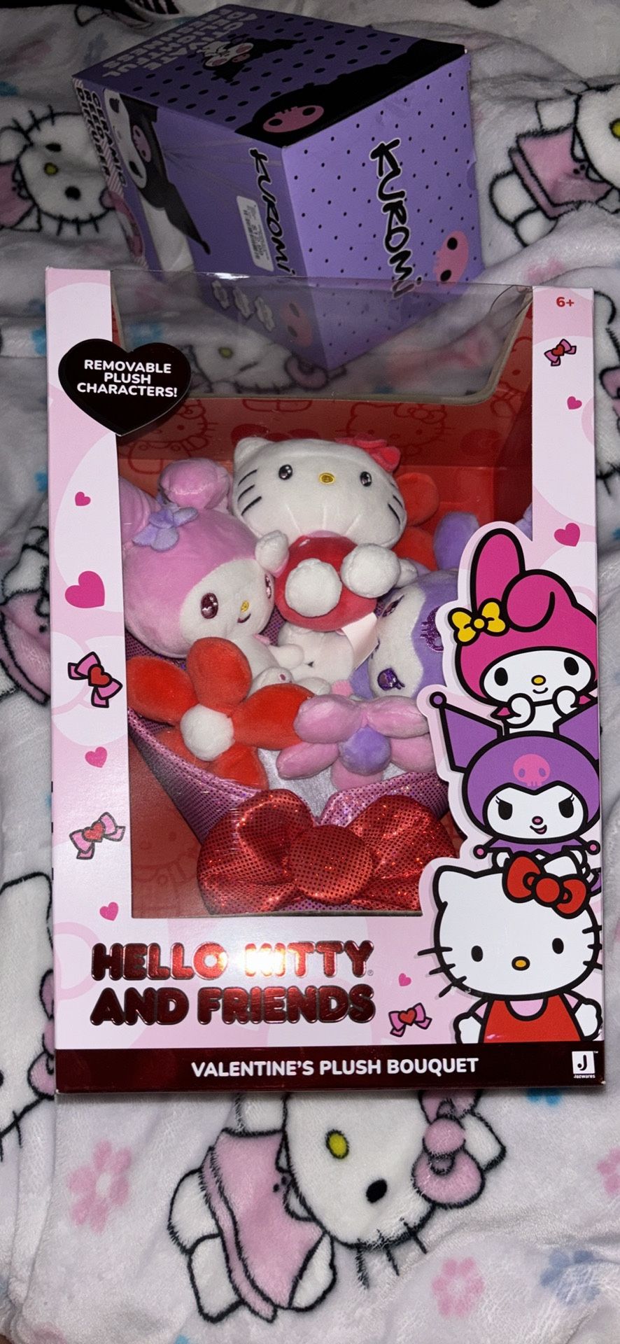 Hello Kitty and Friend Valentines Bouqet