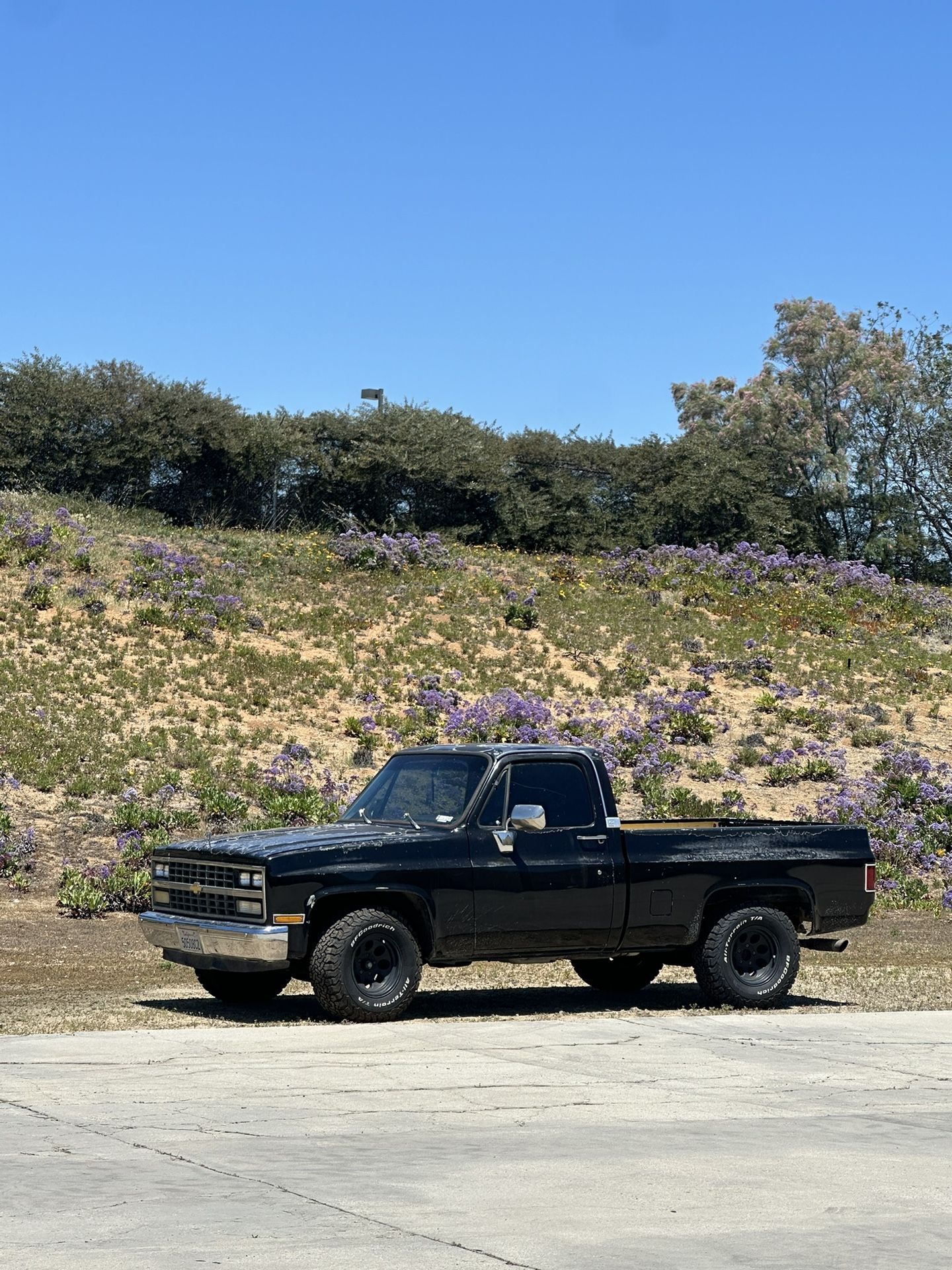 1983 Chevrolet C-10