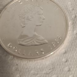 Silver Canadian Maple 1988
