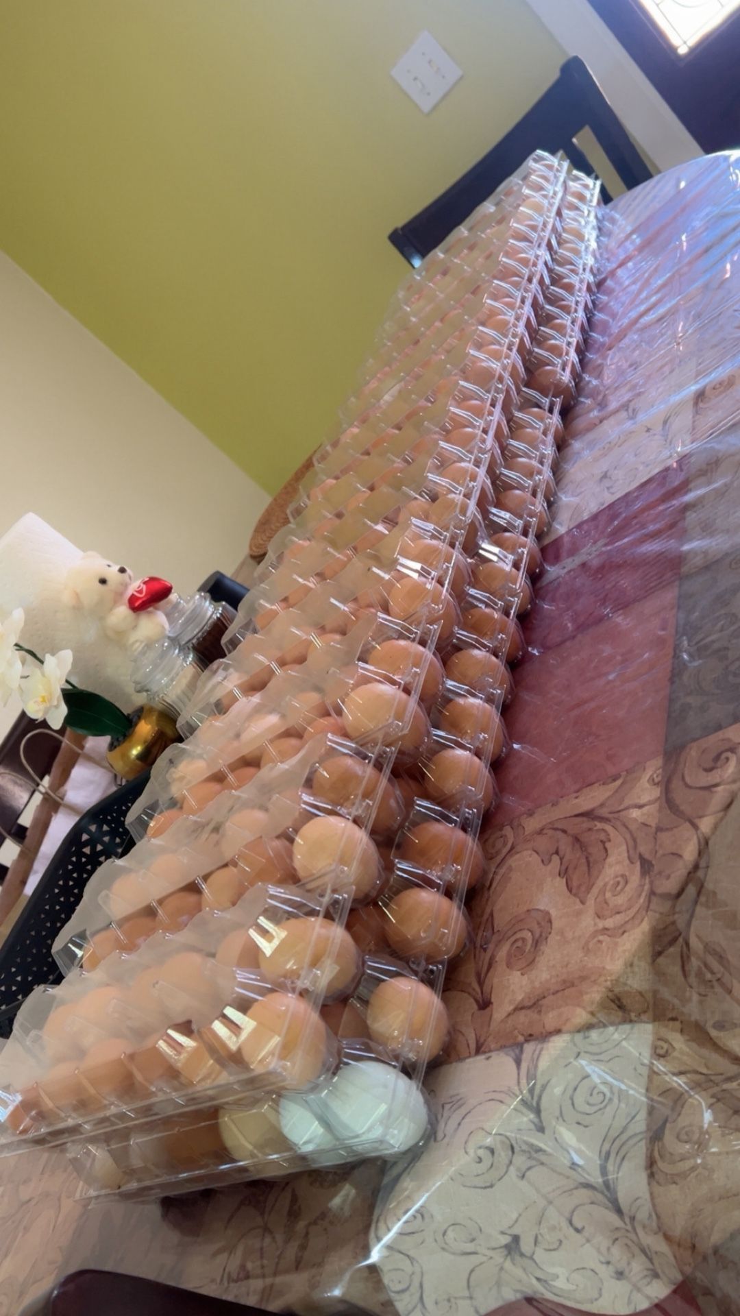 Organic Farm Eggs / Huevos De Rancho
