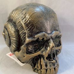 Human skull with Ramshorn on the side 7 inches Halloween prop decoration