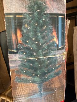 Fir tree