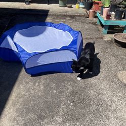 Large Cat Tent