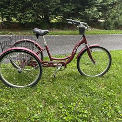 Awesome Adult Tricycle 