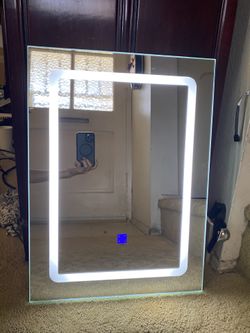 Light  Mirror 15”x21” 