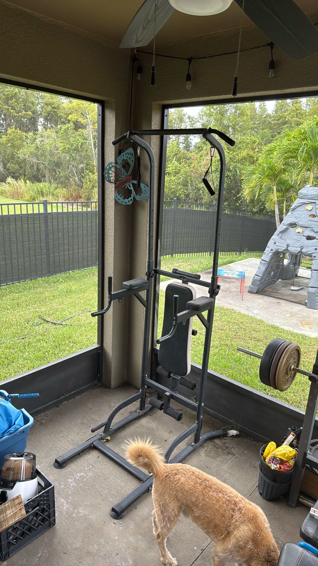 Home Pull Up Gym