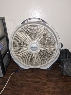 Fan