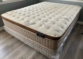 Queen organic cloud edition Europillow top 12inch Matres!