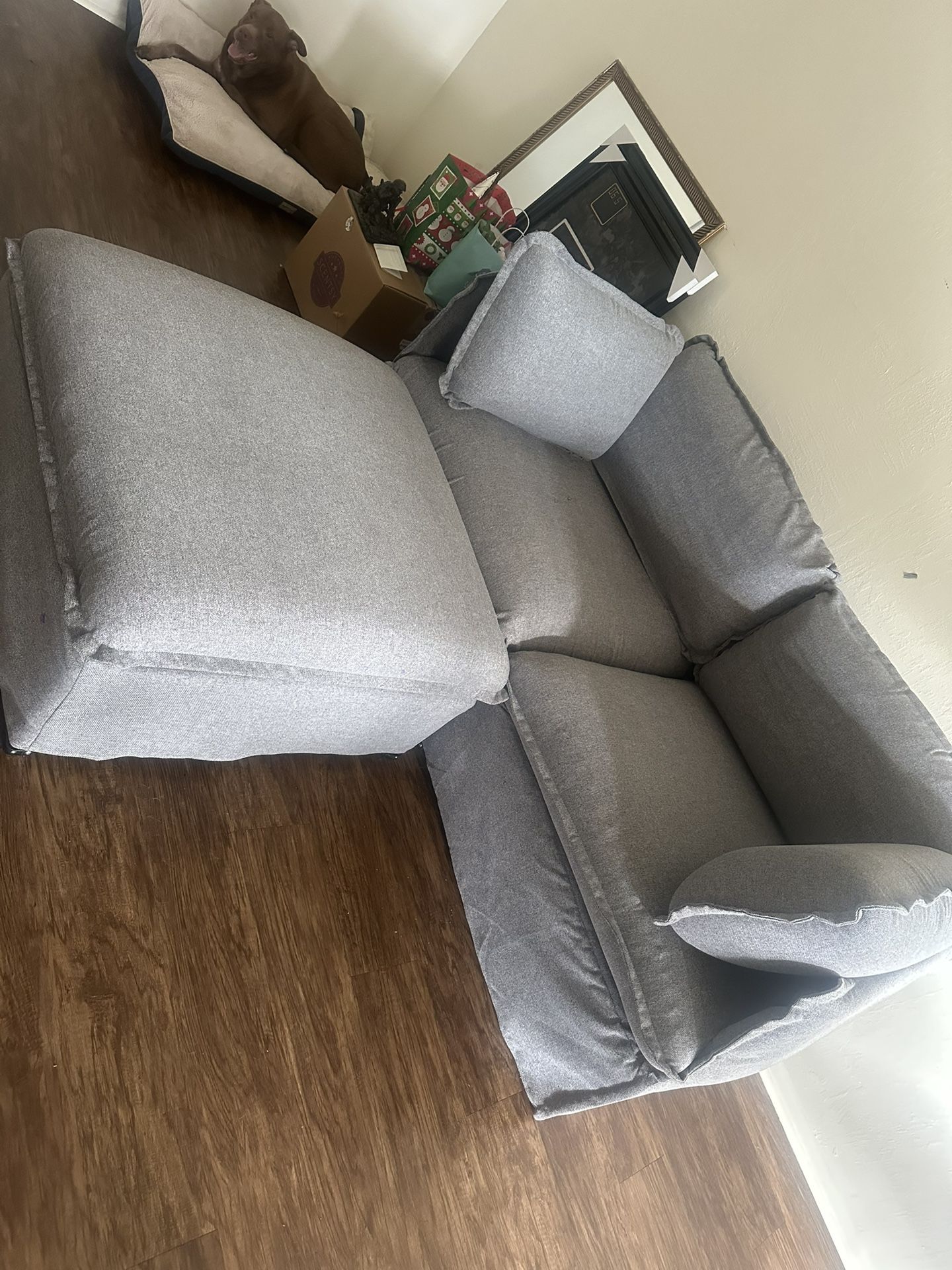 Pet Friendly Couch