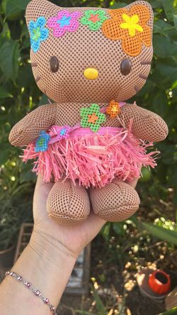Hello Kitty Brown Mesh Plush Embroidered Flowers . RARE. for Sale in  Riverside, CA - OfferUp