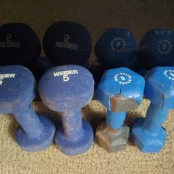 2 Sets Of 5lbs Weight 