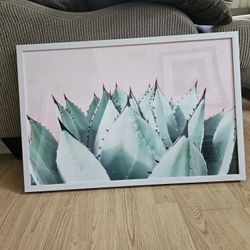 Agave Framed Picture