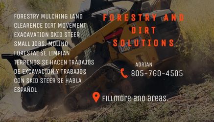Tree 🌴 mulching machine maquina de moler