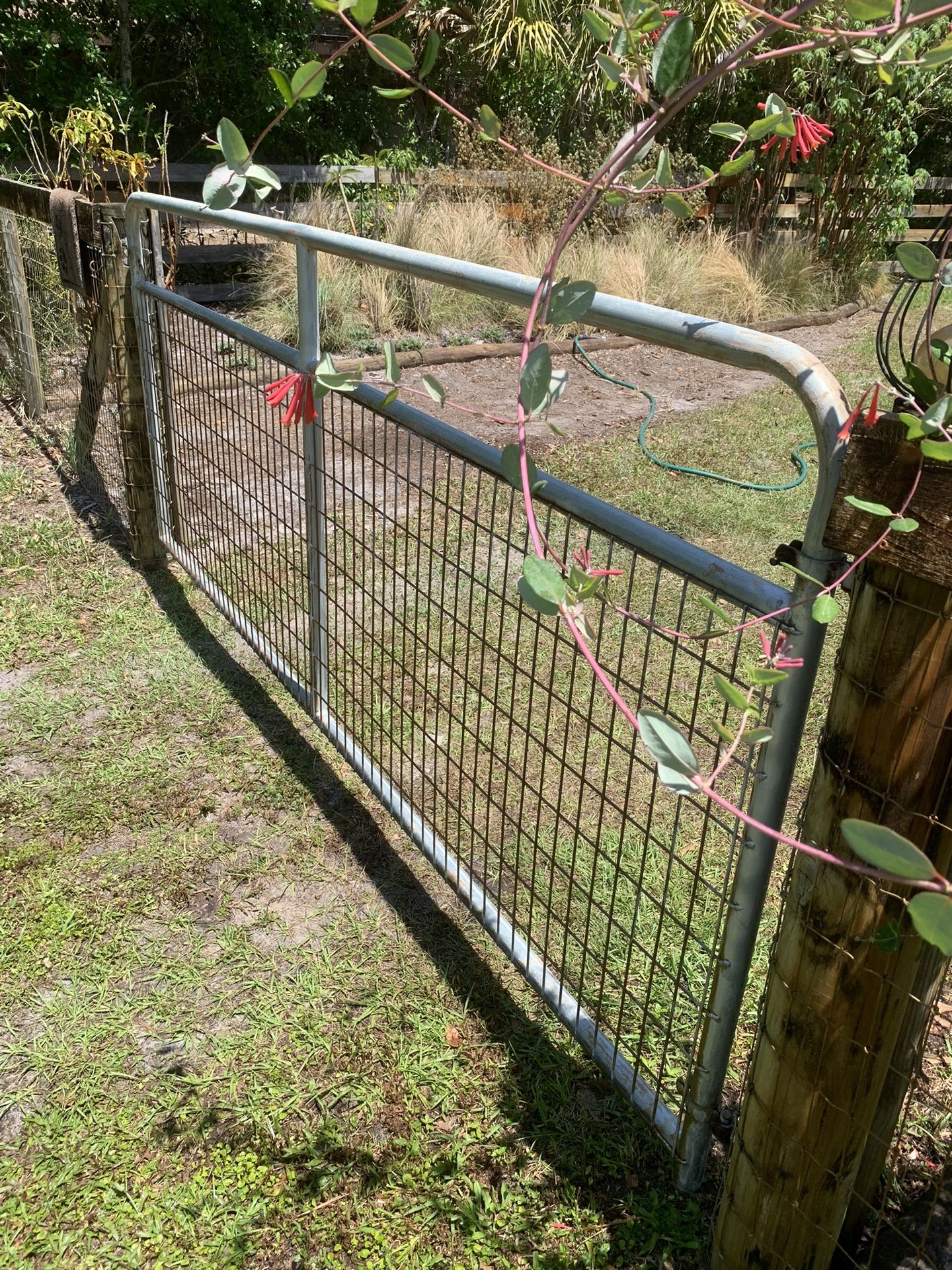 Metal Gate, 10’ Long