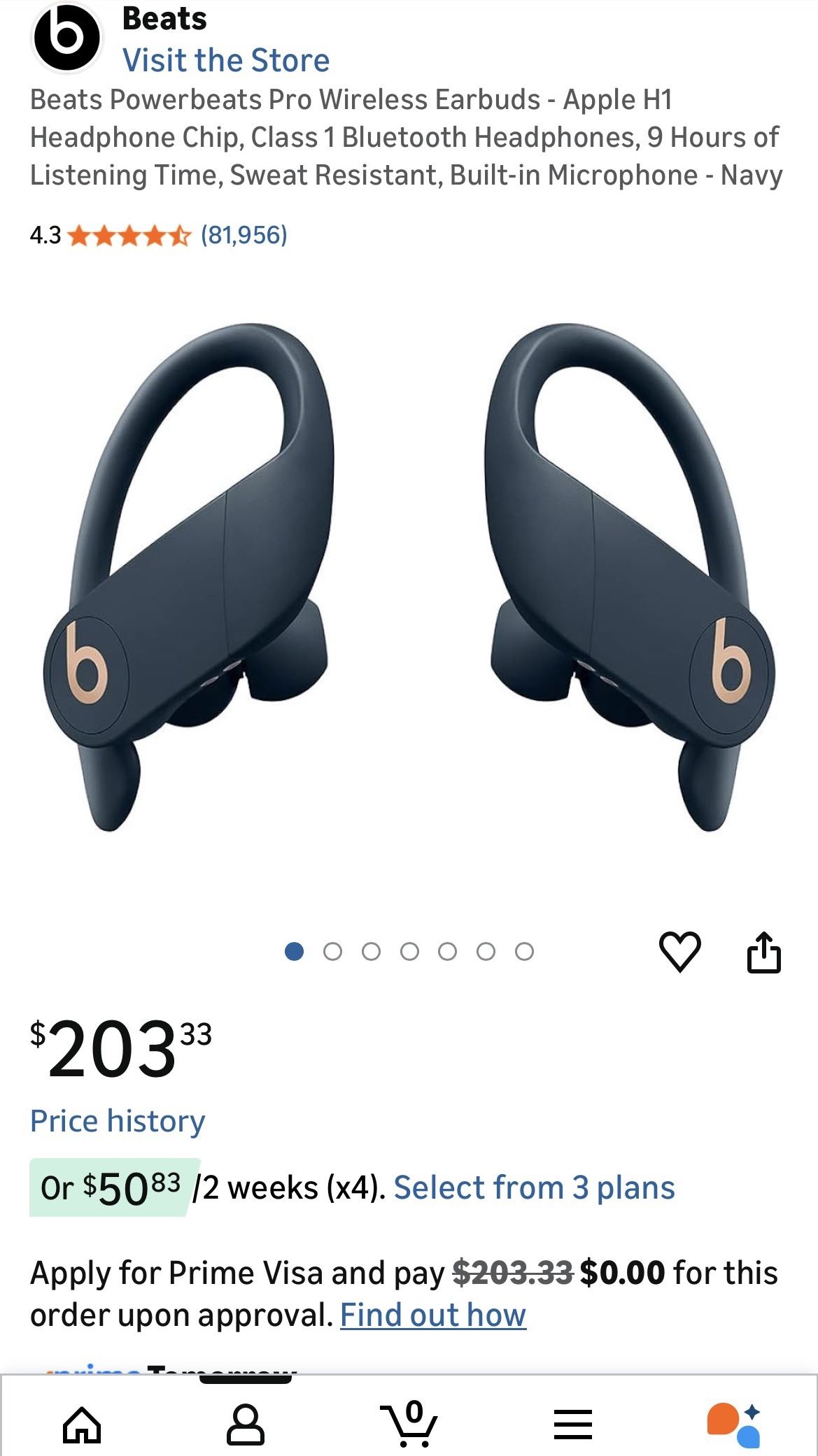 Beats Powerbeats Pro Wireless Earbuds