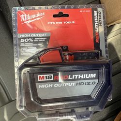 Milwaukee 12.0 Battery