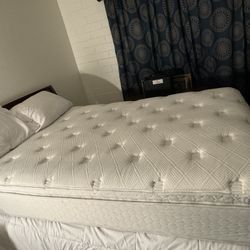 Full Size Mattress With Box Spring