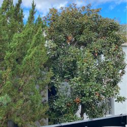 Lost My ID In Camarillo Text Me If Found Please I Would Appreciate It Name Kimberly