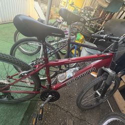 SCHWINN PERFORMANCE MOUNTAIN BIKE