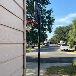 Lifetime Basketball Hoop 