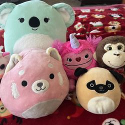 Lot Of Stuffed Animals