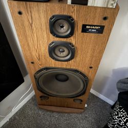 Two Surround Sound Speakers And Receiver