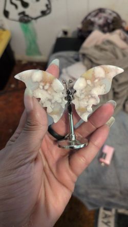 Flower agate butterfly wings