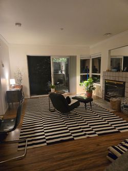 Seeking cat sitter