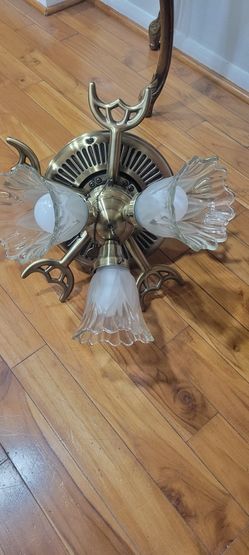 Ceiling Fan With Lights