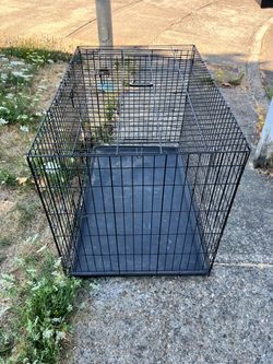 XXL Dog kennel