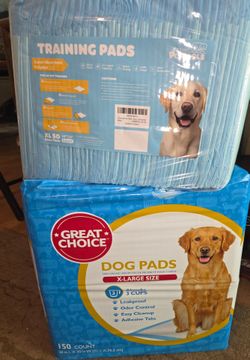 Two large packs of extra large dog training pads